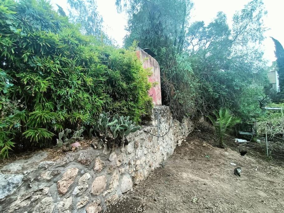 Casa Rural En El Campo Con Animales, Piscina Y Barbacoa Almodóvar del Río Eksteriør bilde