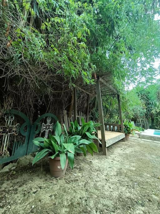 Casa Rural En El Campo Con Animales, Piscina Y Barbacoa Almodóvar del Río Eksteriør bilde