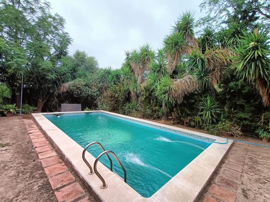 Casa Rural En El Campo Con Animales, Piscina Y Barbacoa Almodóvar del Río Eksteriør bilde