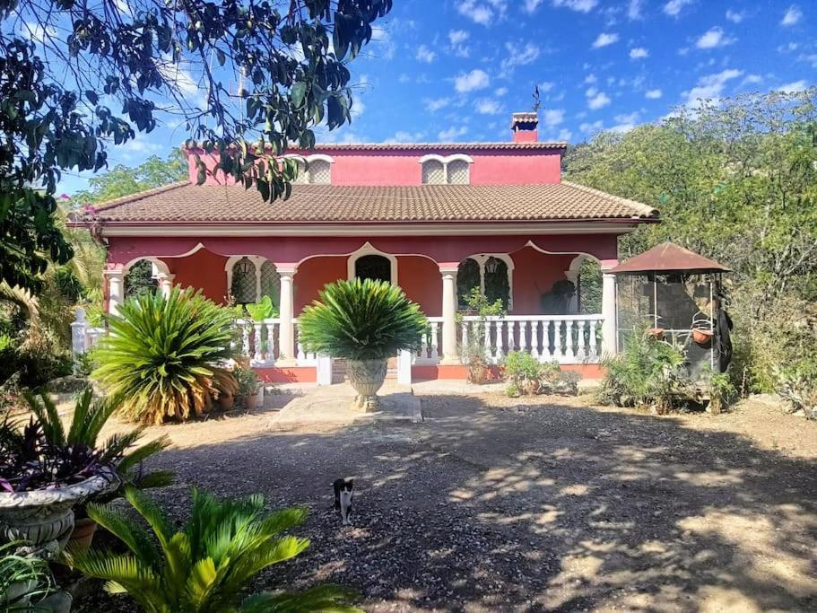 Casa Rural En El Campo Con Animales, Piscina Y Barbacoa Almodóvar del Río Eksteriør bilde