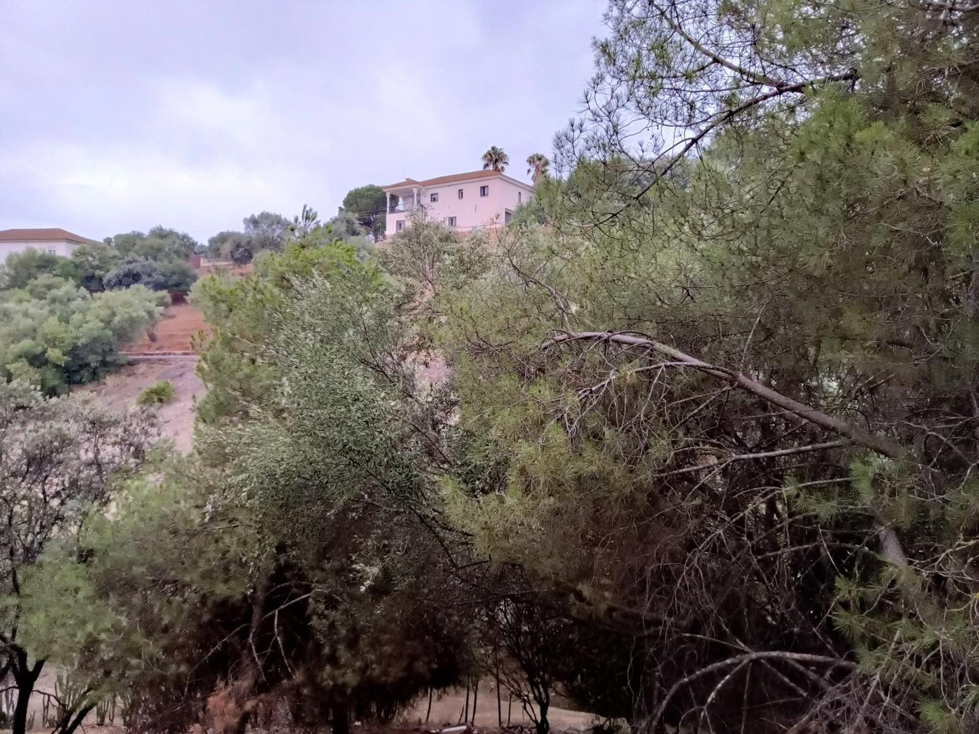 Casa Rural En El Campo Con Animales, Piscina Y Barbacoa Almodóvar del Río Eksteriør bilde