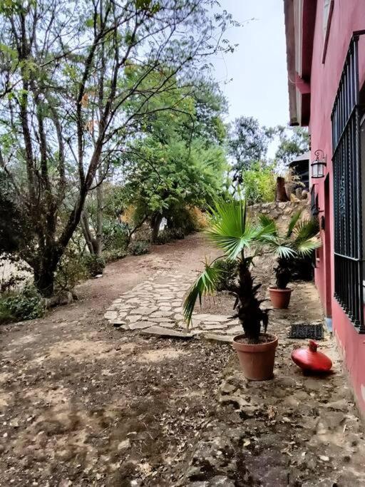 Casa Rural En El Campo Con Animales, Piscina Y Barbacoa Almodóvar del Río Eksteriør bilde