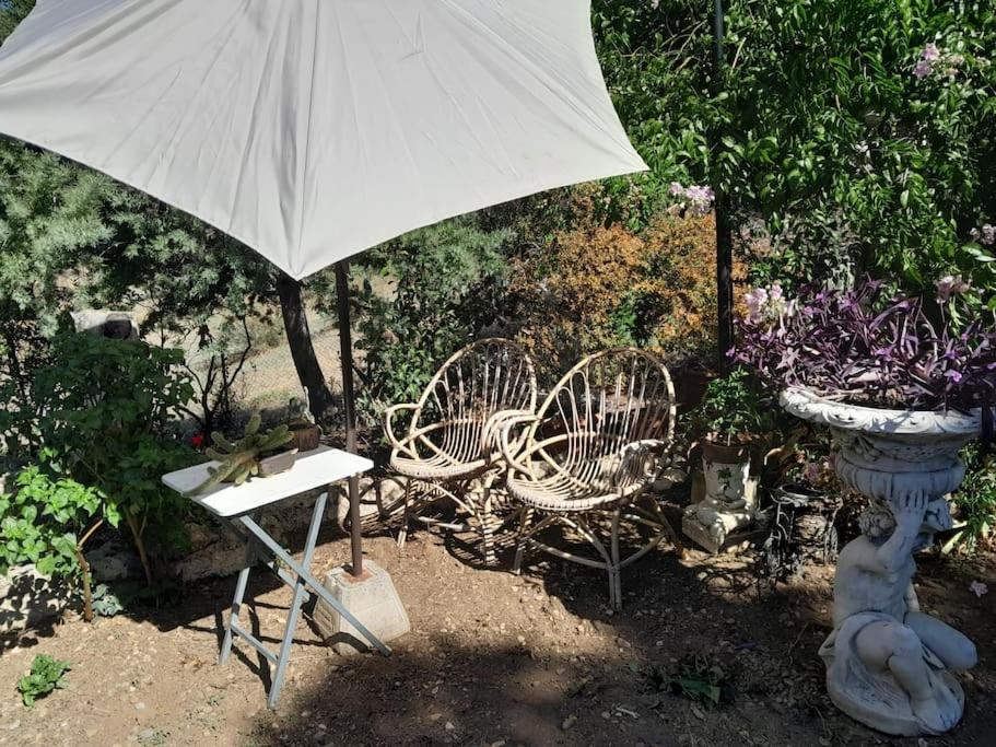 Casa Rural En El Campo Con Animales, Piscina Y Barbacoa Almodóvar del Río Eksteriør bilde